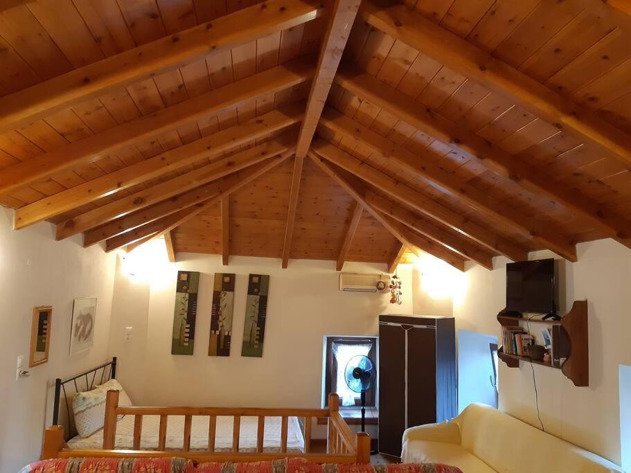 Kouros Villa! Paltsi Pilion Exterior photo