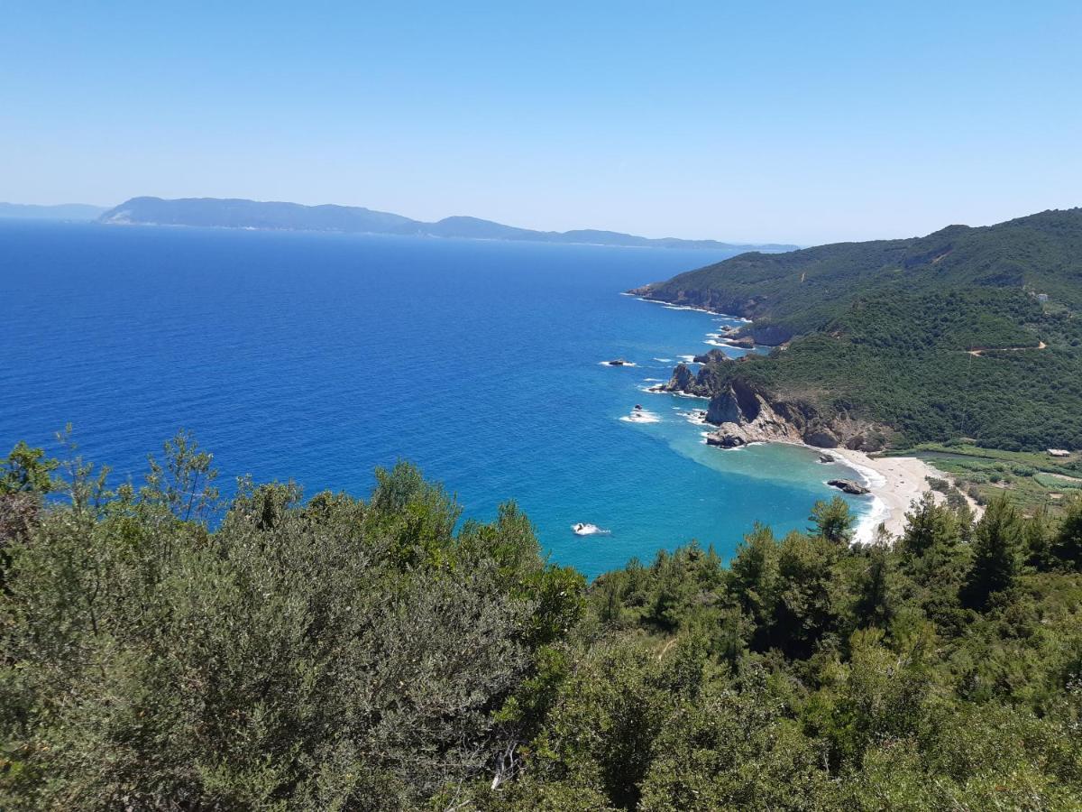 Kouros Villa! Paltsi Pilion Exterior photo