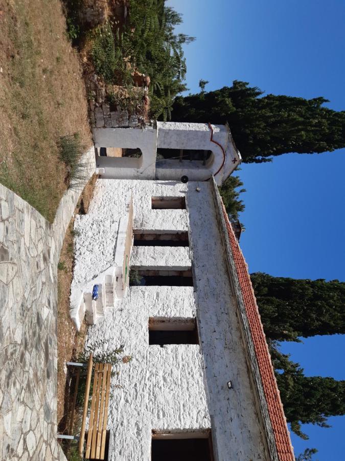 Kouros Villa! Paltsi Pilion Exterior photo